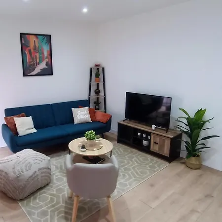 アパート La Perle F3 Moderne Et Cosy Centre Netflix ミュルーズ