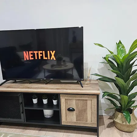 La Perle F3 Moderne Et Cosy Centre Netflix Apartment Mülhausen