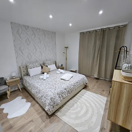 La Perle F3 Moderne Et Cosy Centre Netflix Mülhausen